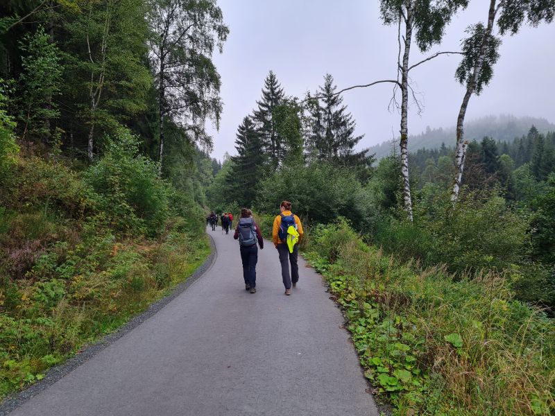 Exkursion in den Harz 2021 (Regionale Geologie und Rohstoffe)