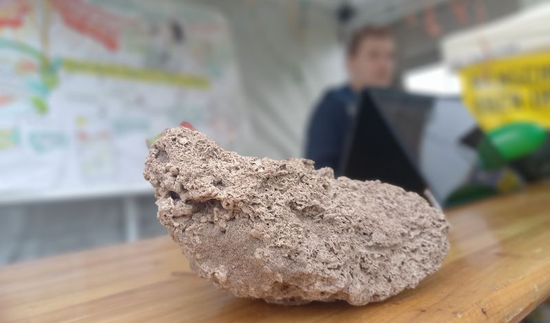Impressionen vom Diversity Day 3